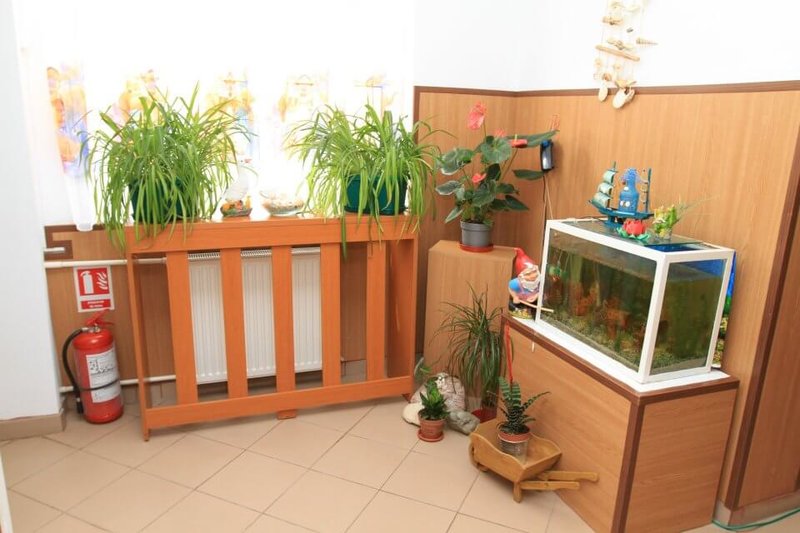 Cresa Pinochio (Cresa Drumul Taberei)